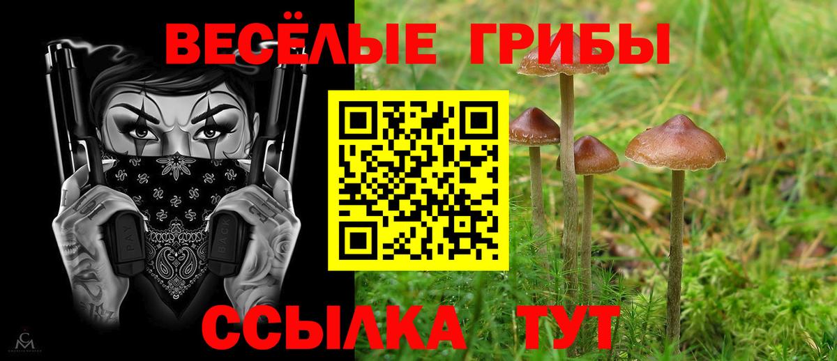 Галлюциногенные грибы прущие грибы  Вход с VPN  Нефтеюганск 